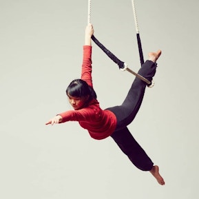 Static Trapeze 2
