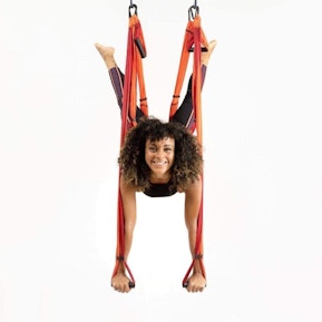 Aerial Yoga Trapeze - All Levels